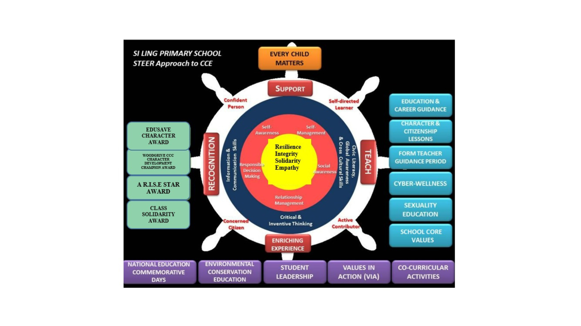 STEER Approach to CCE Detailed